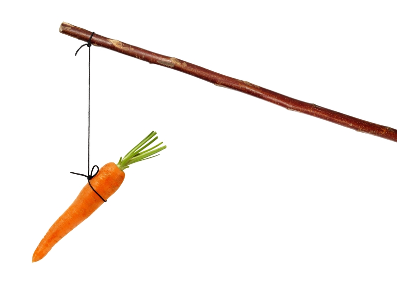 Une carrotte attachée à un bâton